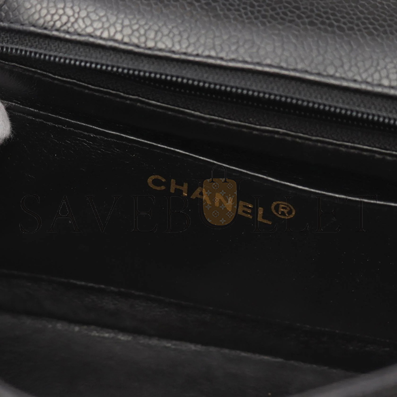 Ch**el caviar small diana flap bag 210121 (22*14*7cm)